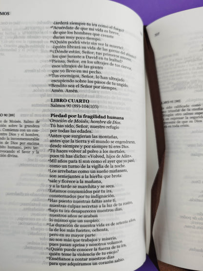 Nuestra sagrada biblia clásica estuche café