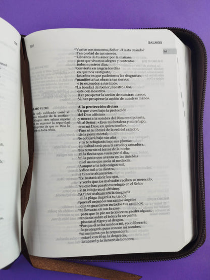 Nuestra sagrada biblia clásica estuche café