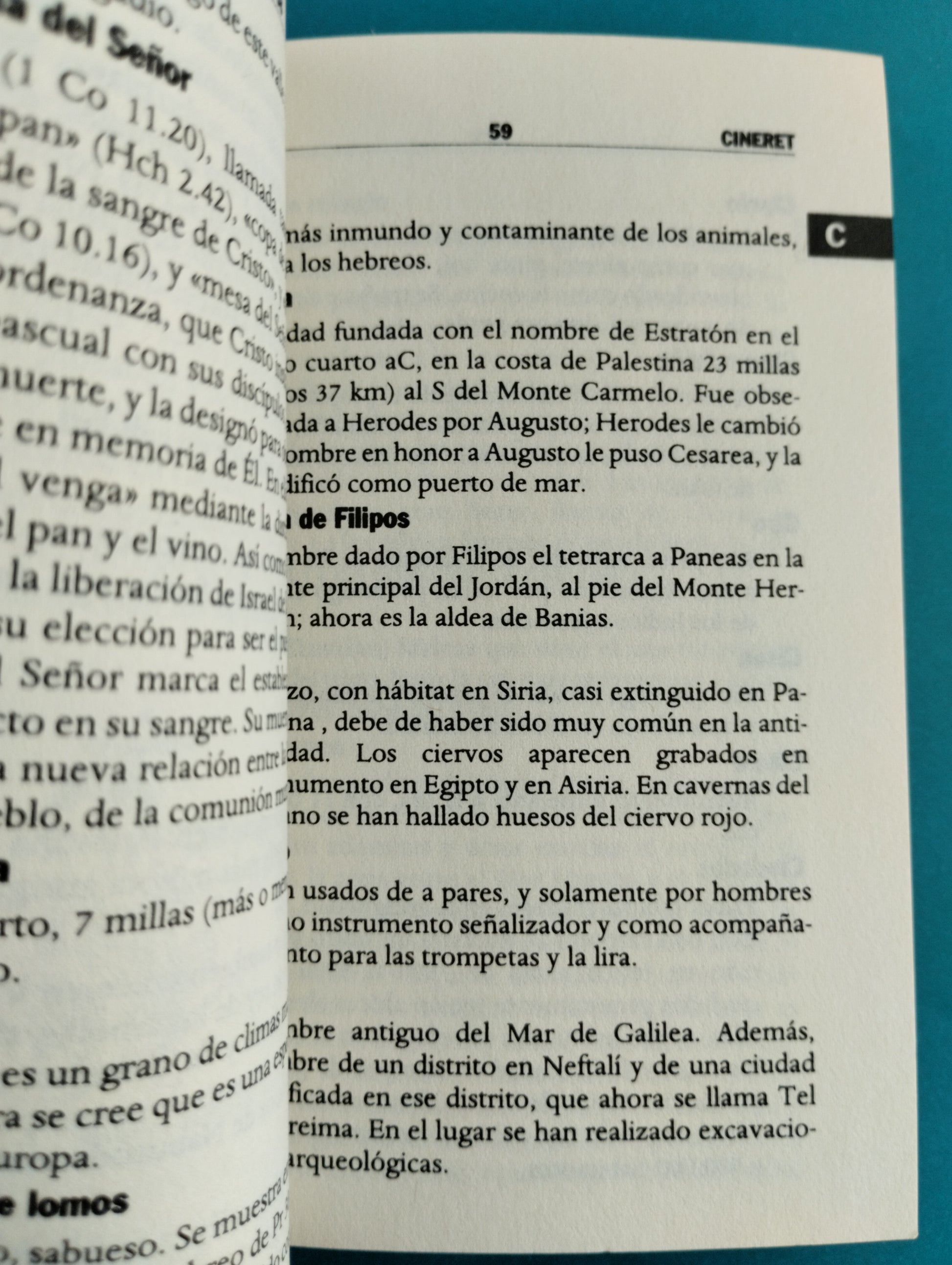 Diccionario de la biblia de bolsillo by Referencias de bolsillo caribe