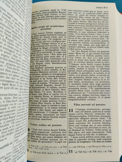 Biblia vulgata by Colunga Turrado