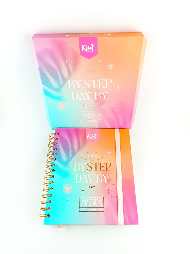 Agenda kiut caja preium rosa azul 2024 by libreriatroya.com