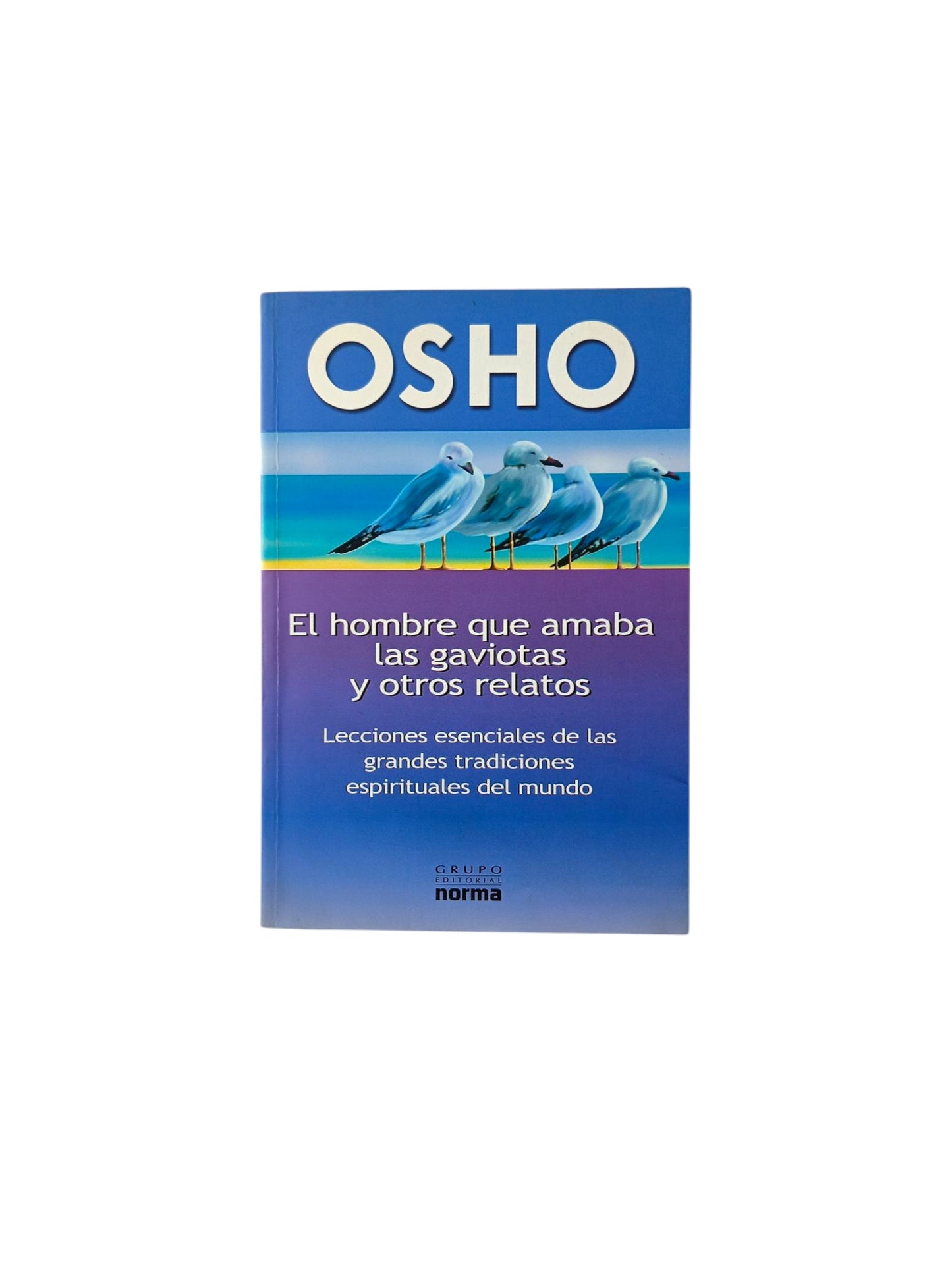 El hombre que amaba las gaviotas y otros relatos