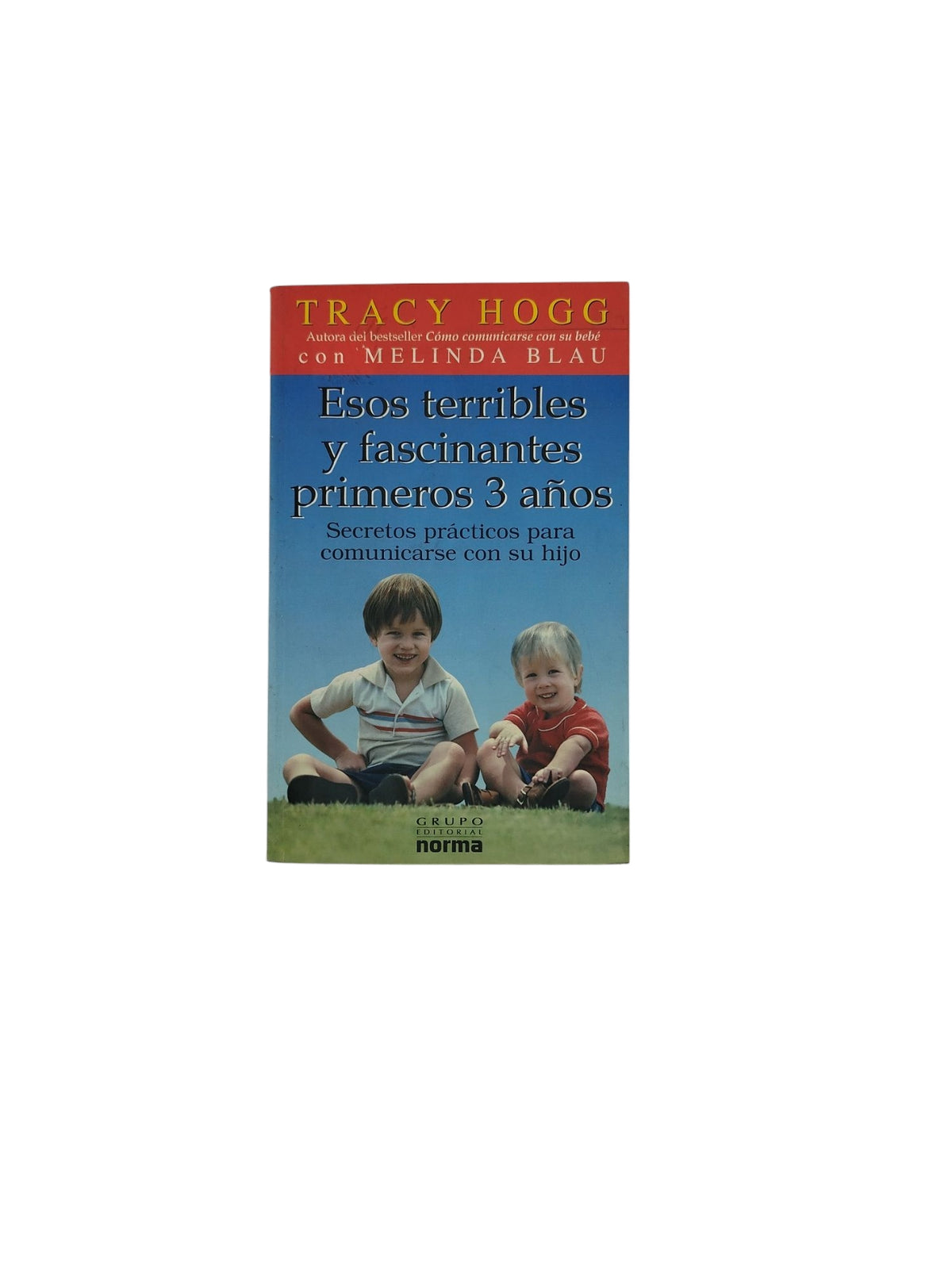 Esos terribles y fascinantes primeros 3 años by Tracy Hogg y Melinda Blau