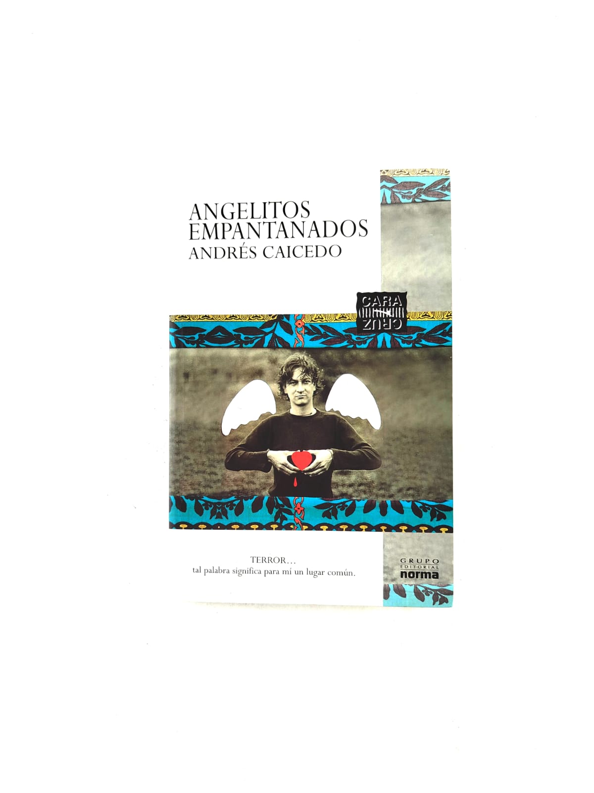 Angelitos empantanados by Andrés Caicedo