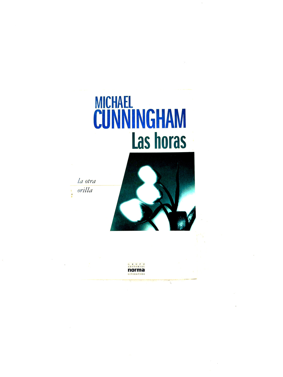 Las horas by Michael Cunningham