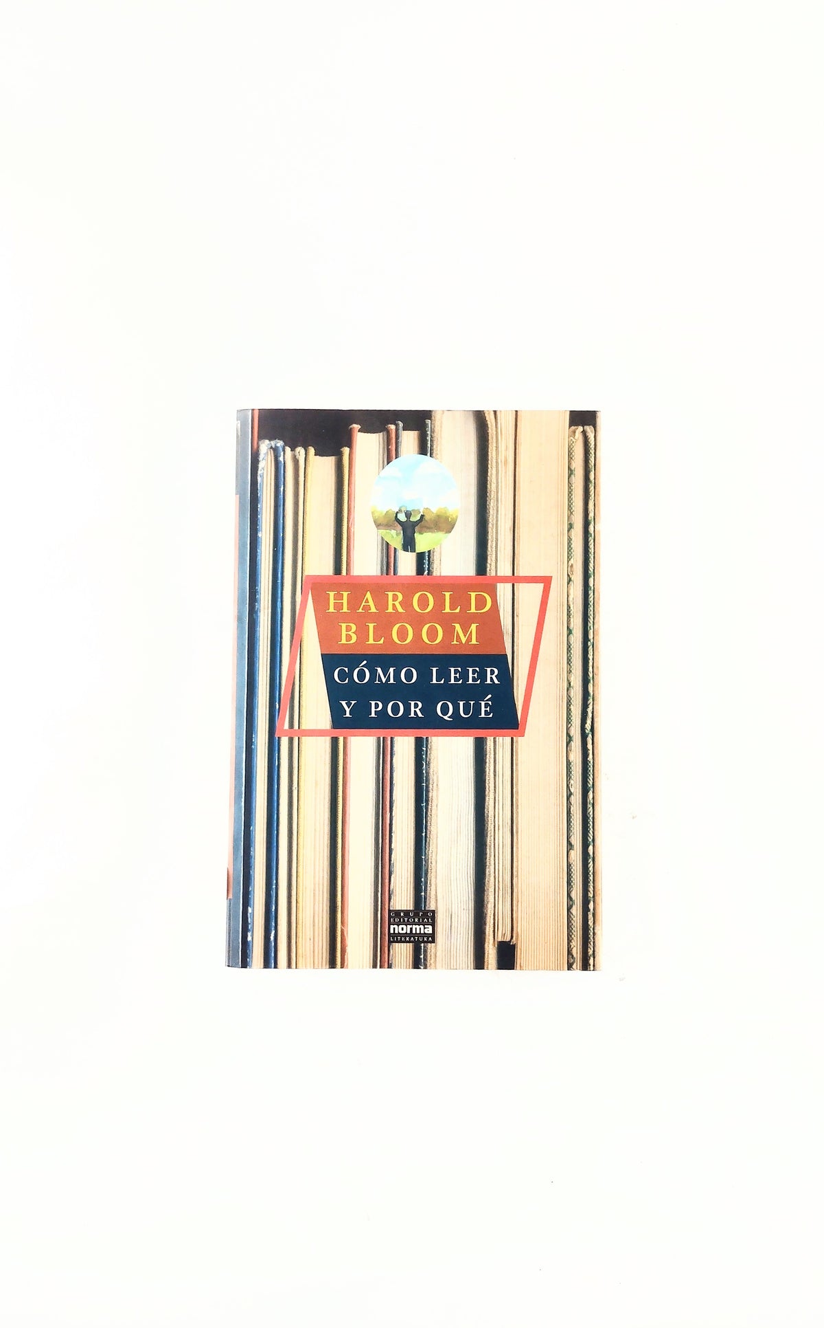 Cómo leer y por qué by Harold Bloom