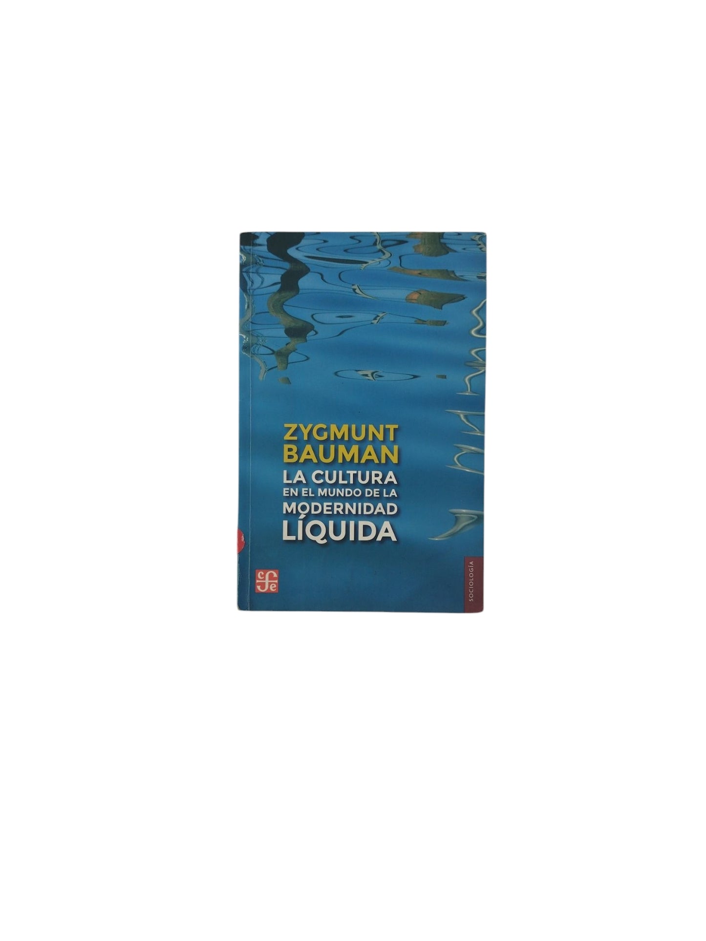 La Cultura en el Mundo de la Modernidad Líquida