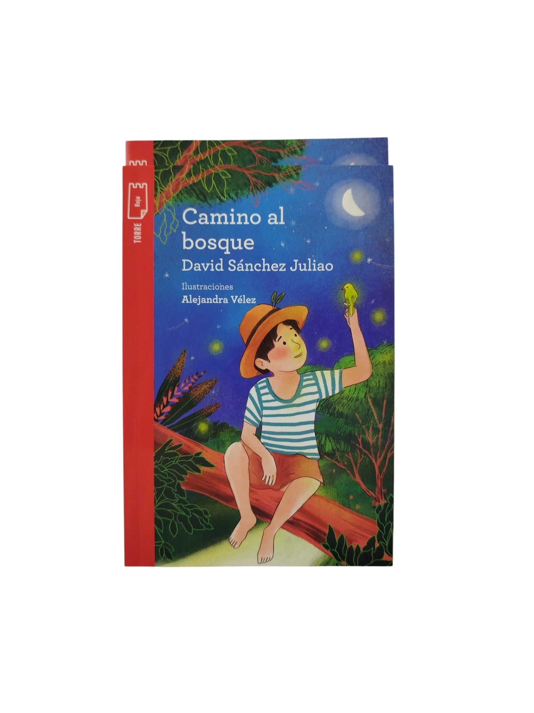Kit Camino Al Bosque by David Sánchez Juliao