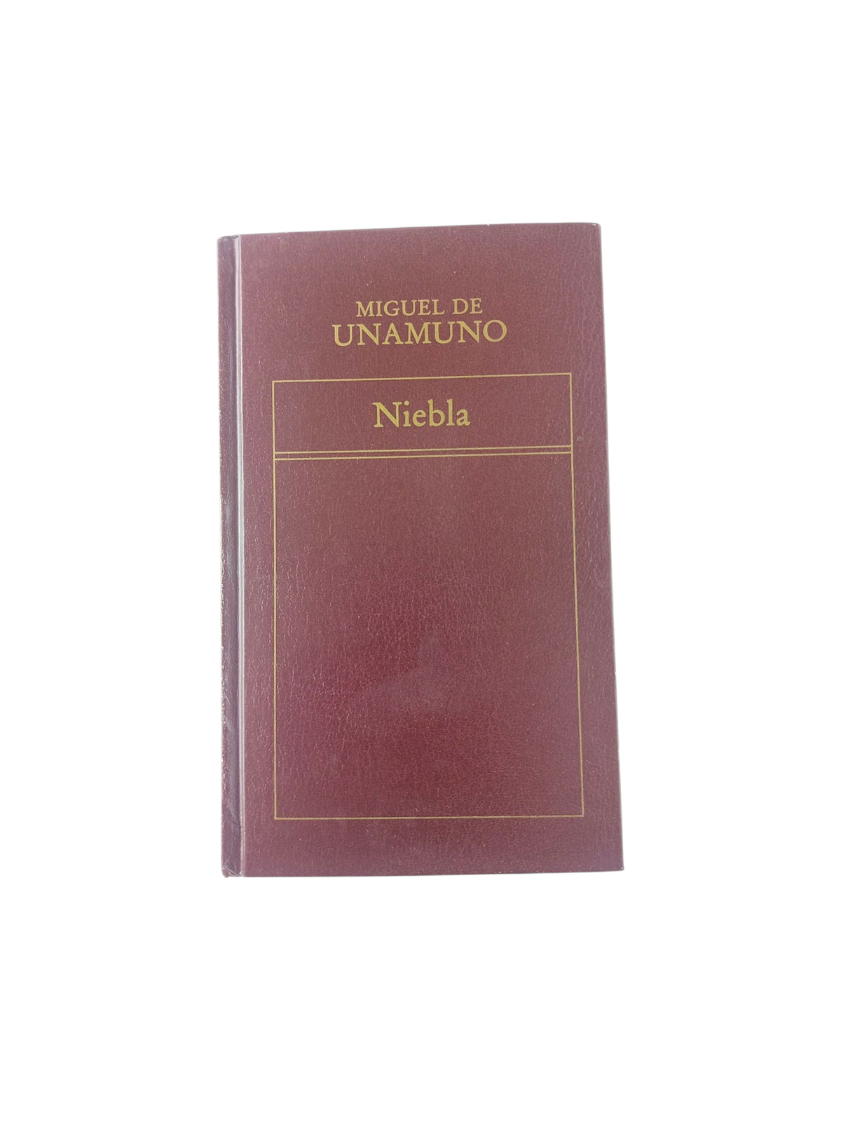 Niebla by Miguel de Unamuno
