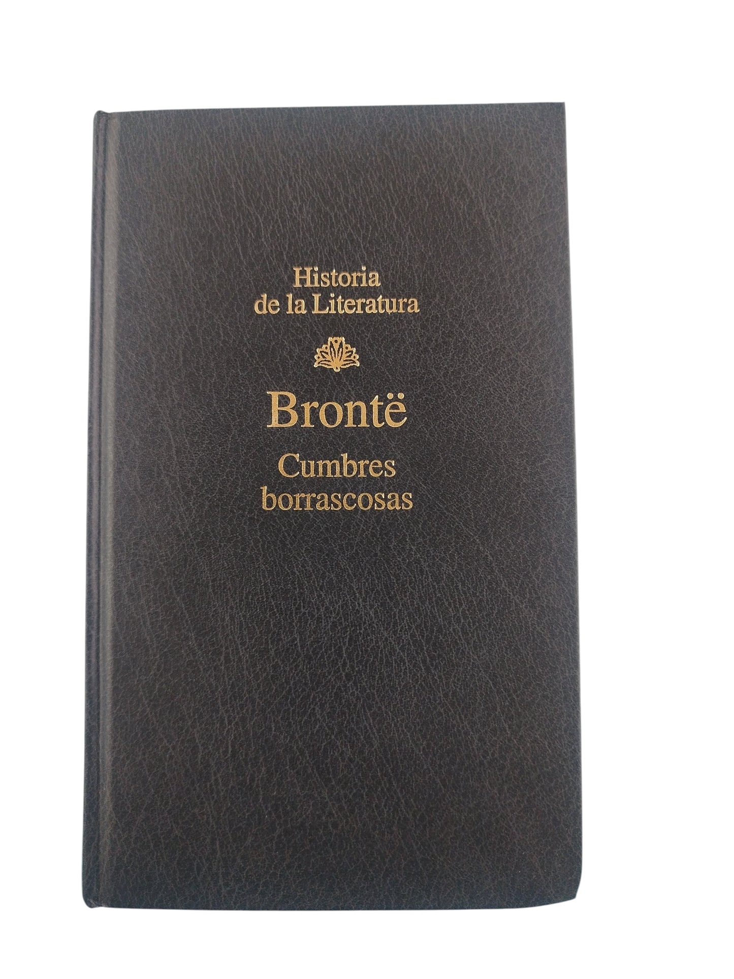 Cumbres Borrascosas by Brontë