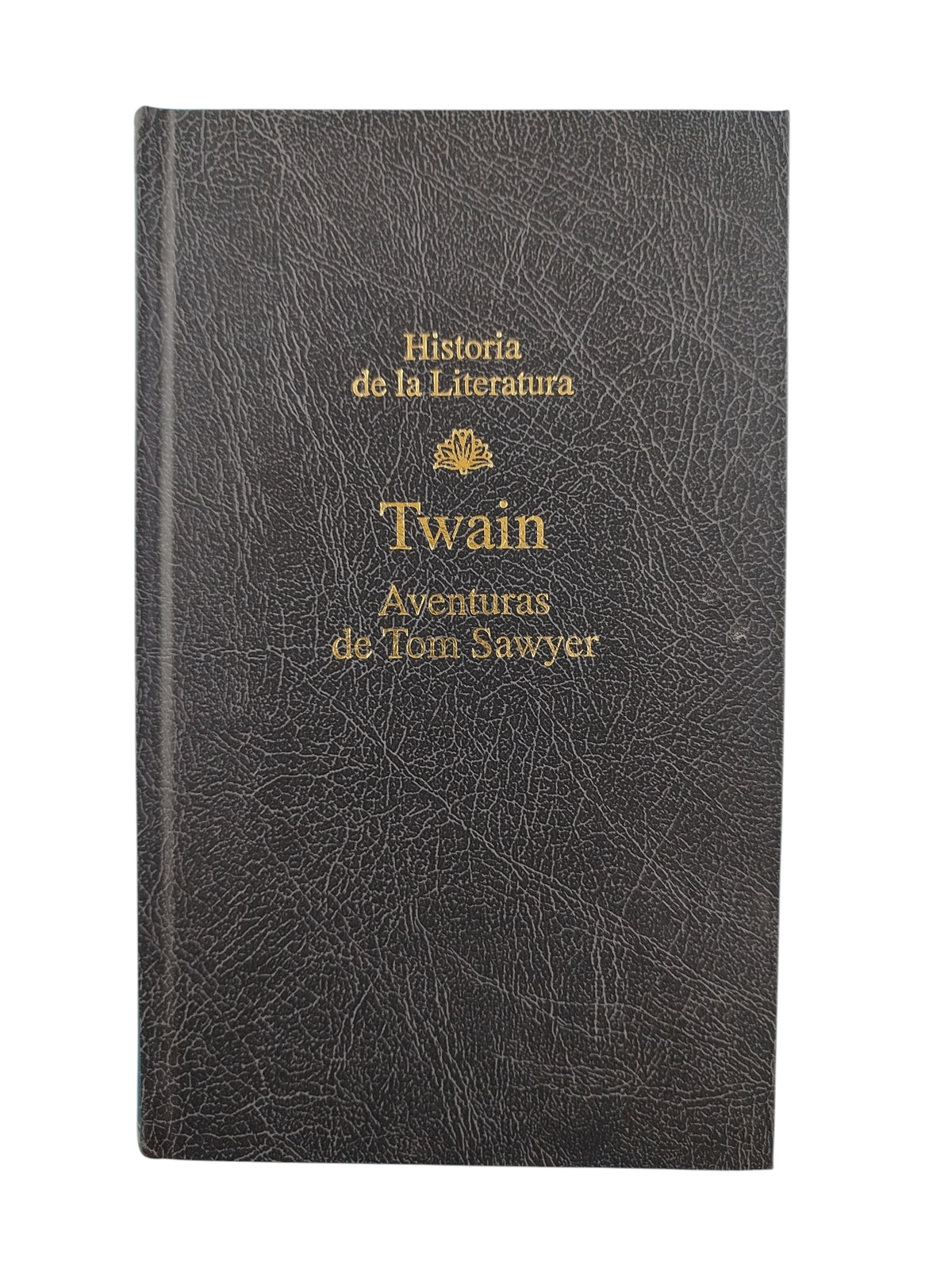 Aventuras de Tom Sawyer by Mark Twain
