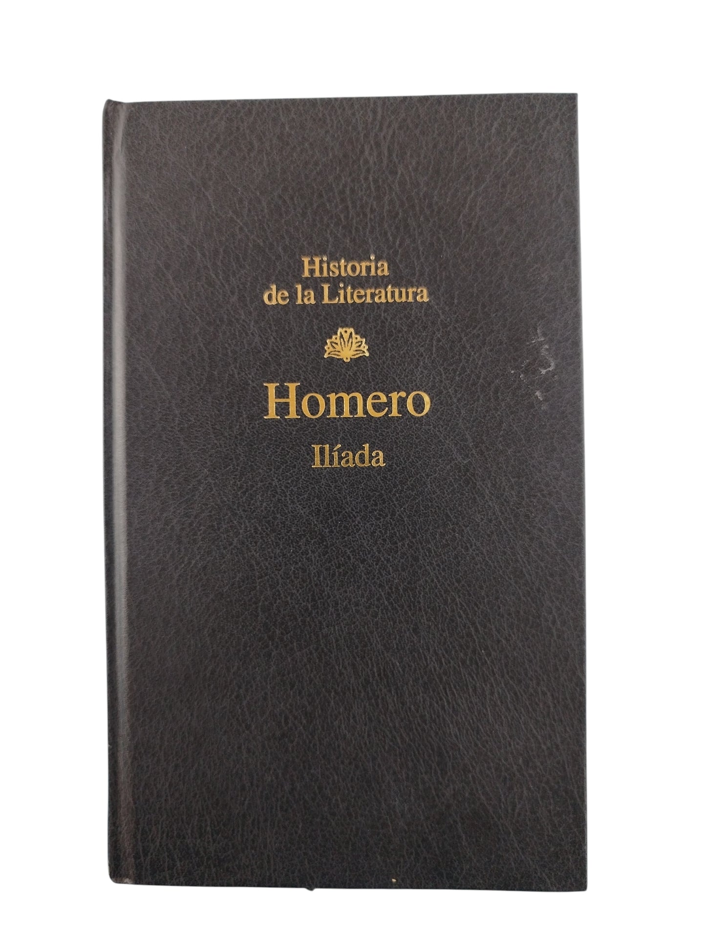 Ilíada by Homero