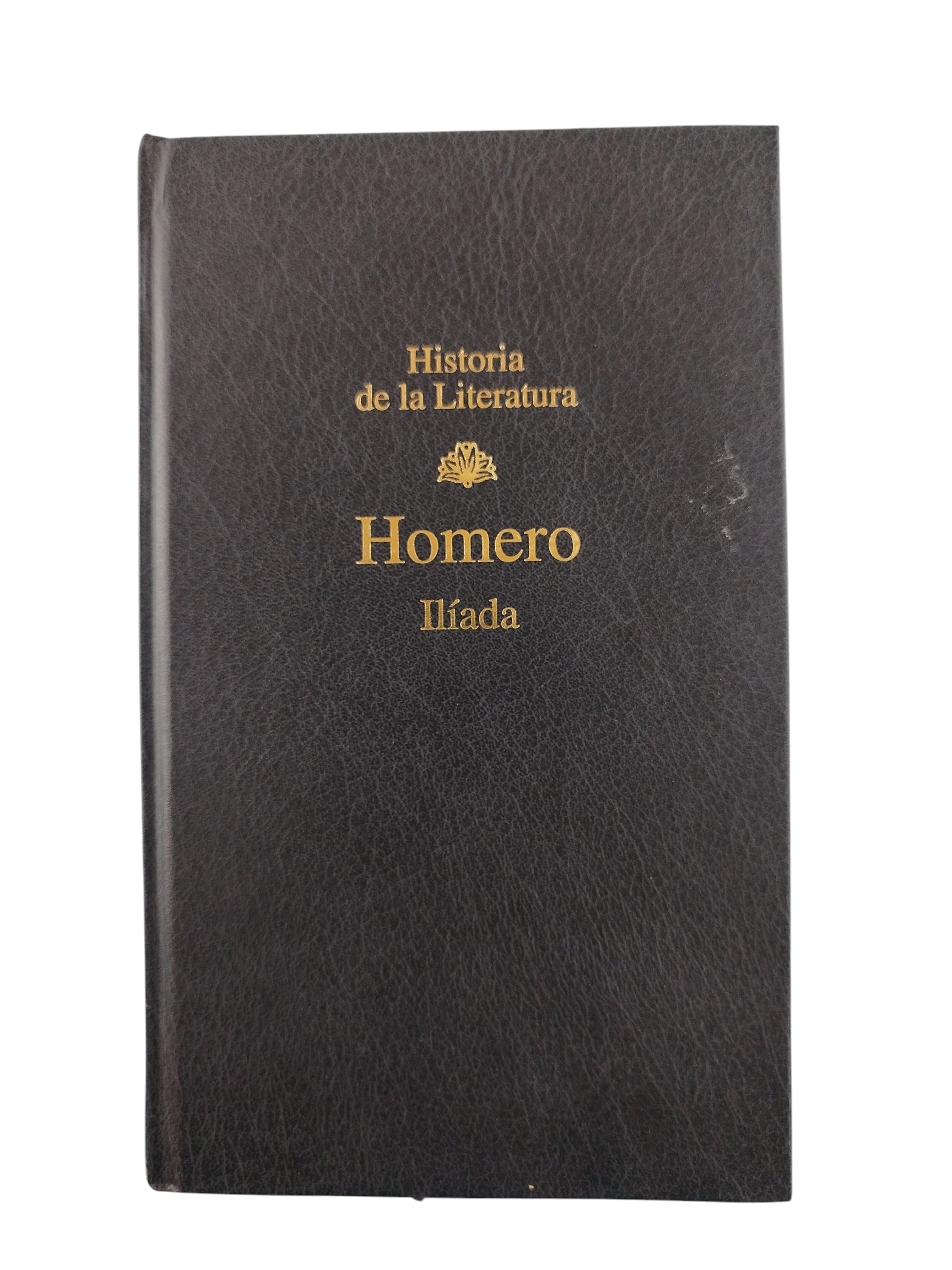 Ilíada by Homero