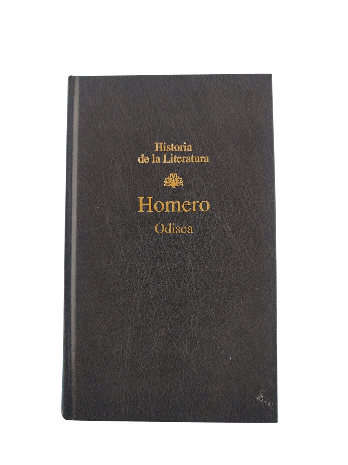 Odisea by Homero