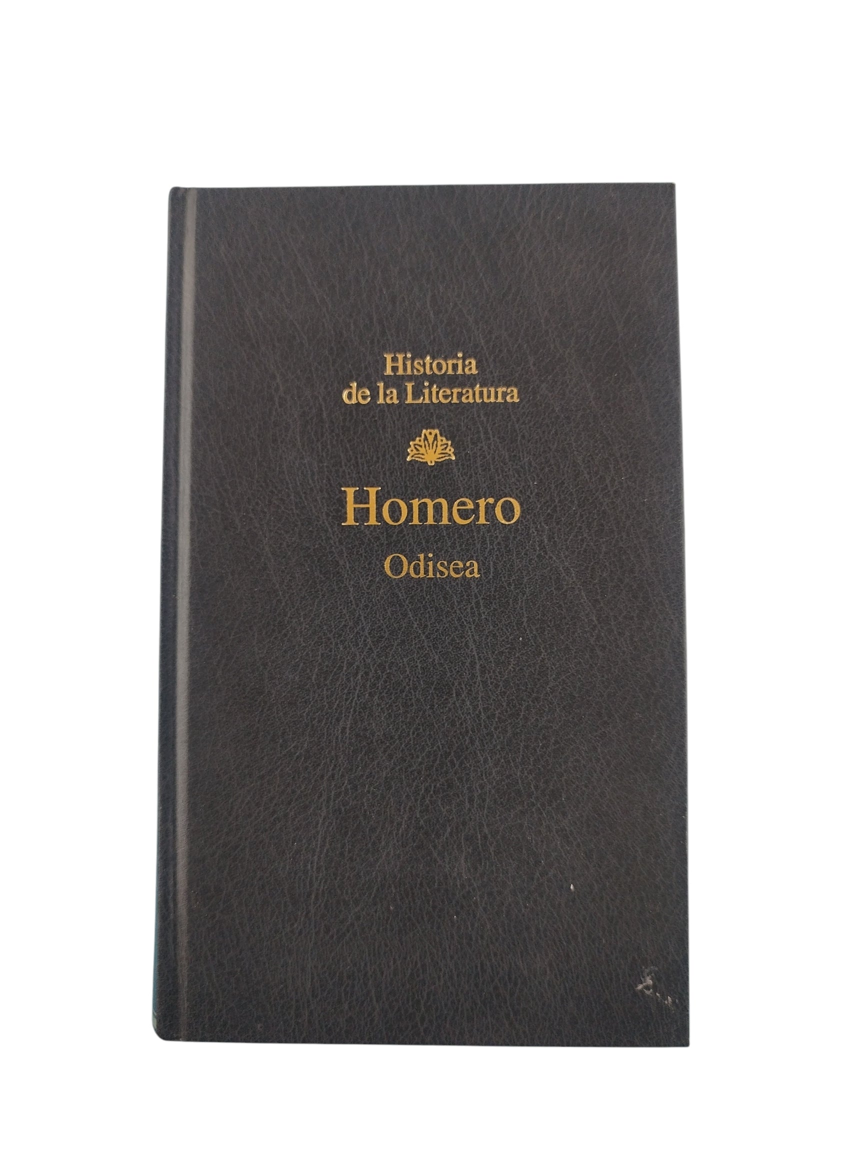Odisea by Homero