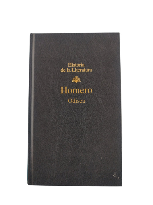 Odisea by Homero