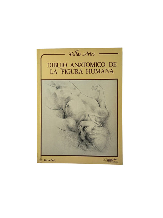 Dibujo anatómico de la figura humana