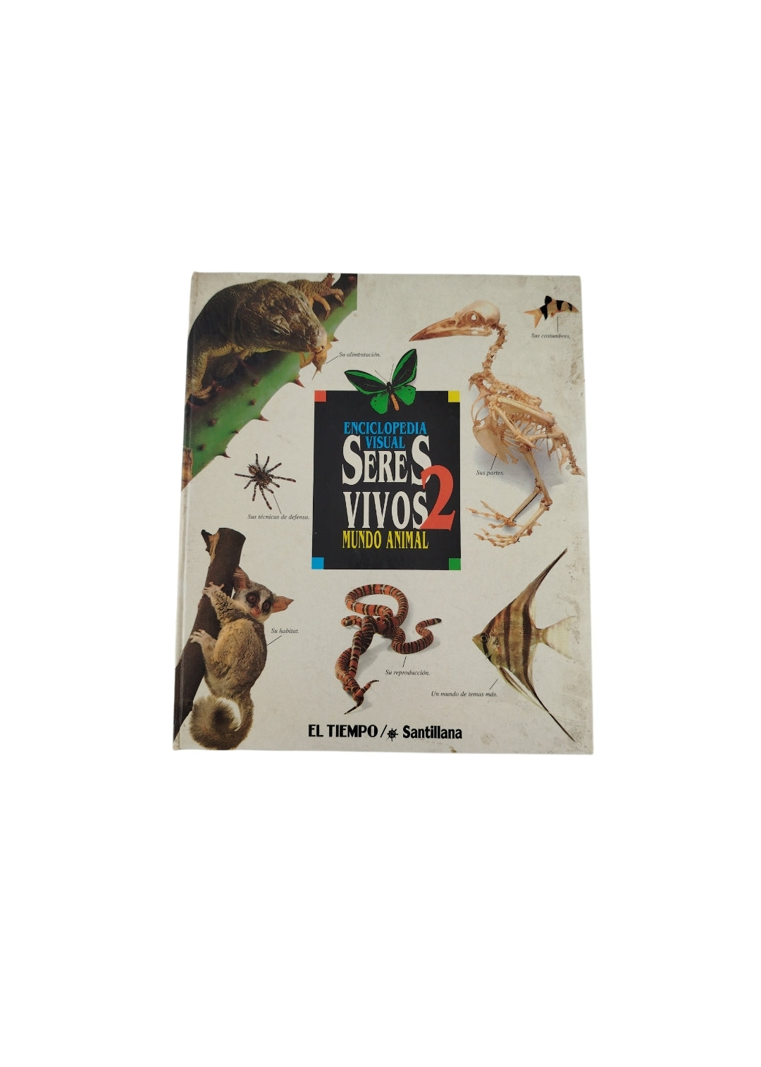 Enciclopedia Visual Seres vivos 2 mundo animal by Varios