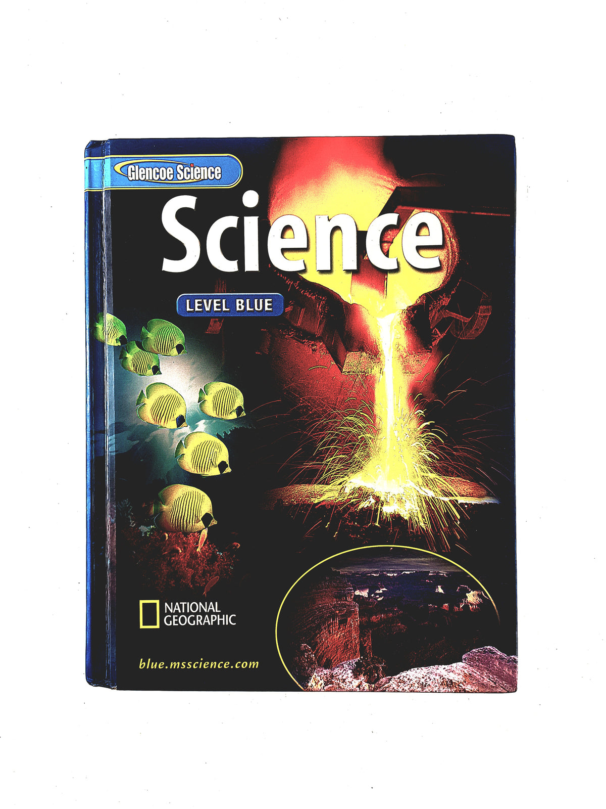 Glencoe sciencie level blue by Varios