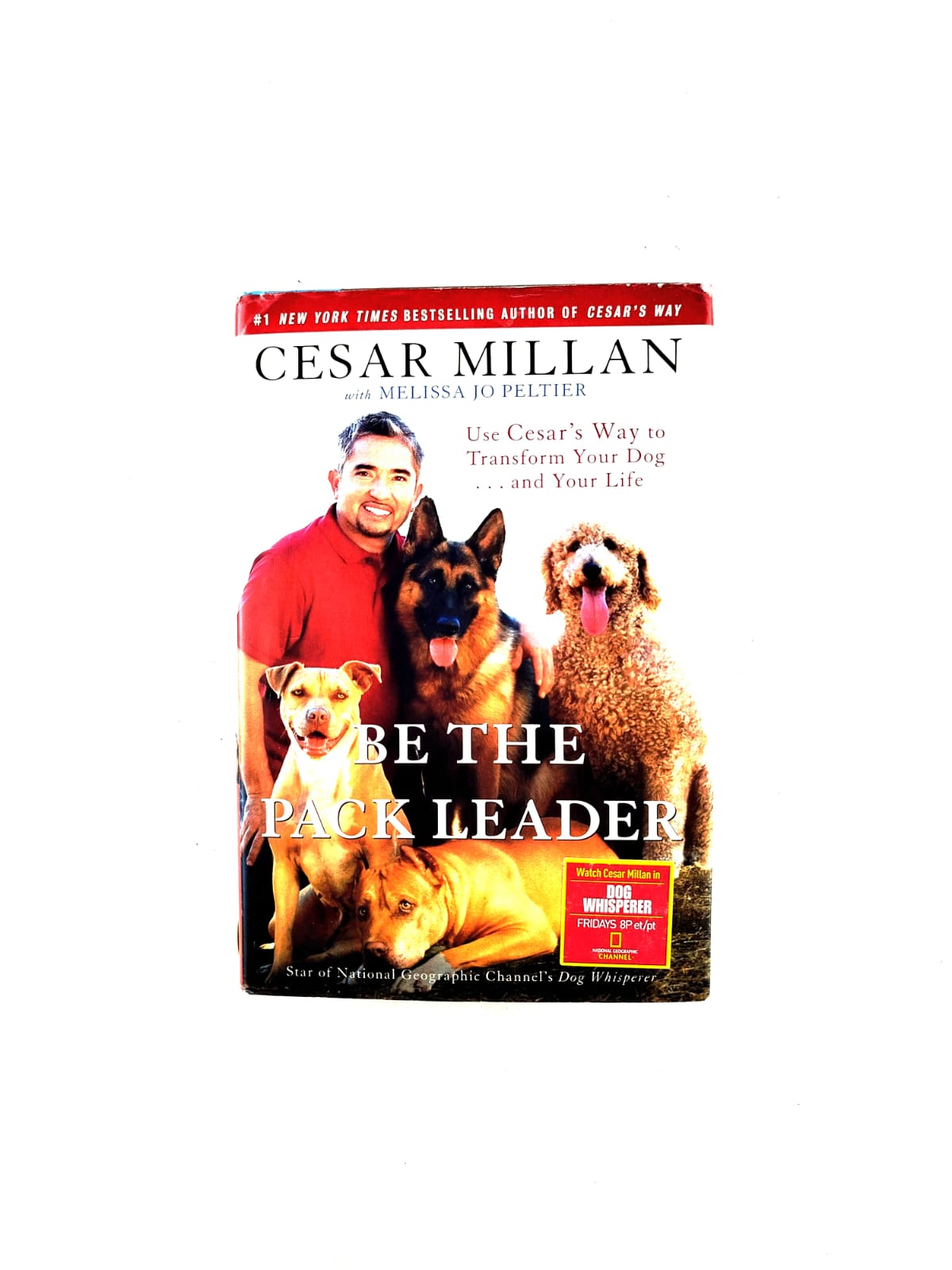 Be the pack leader by Cesar Millan