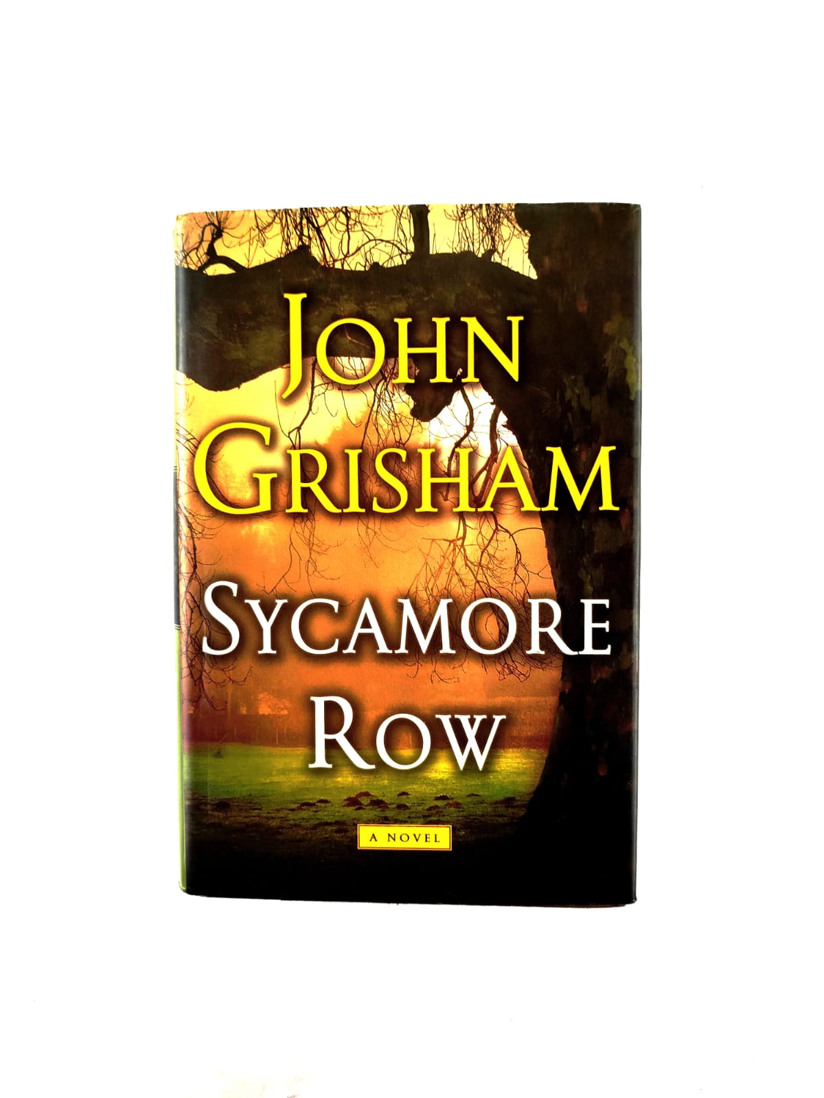 Sycamore Row by John Grisham