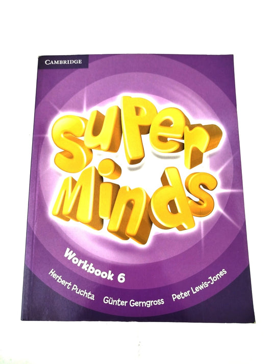 Super minds workbook 6