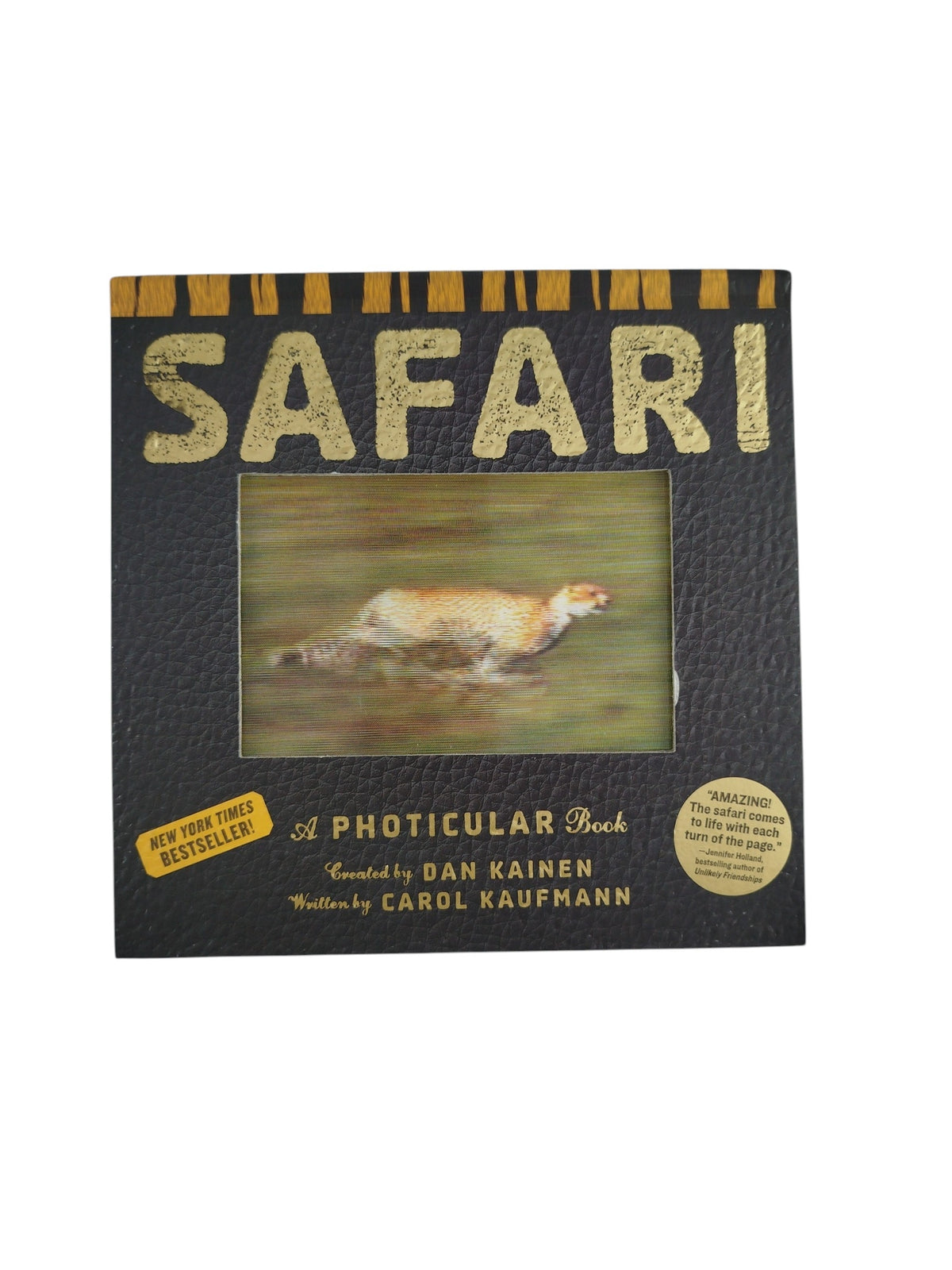 Safari by dan kainen