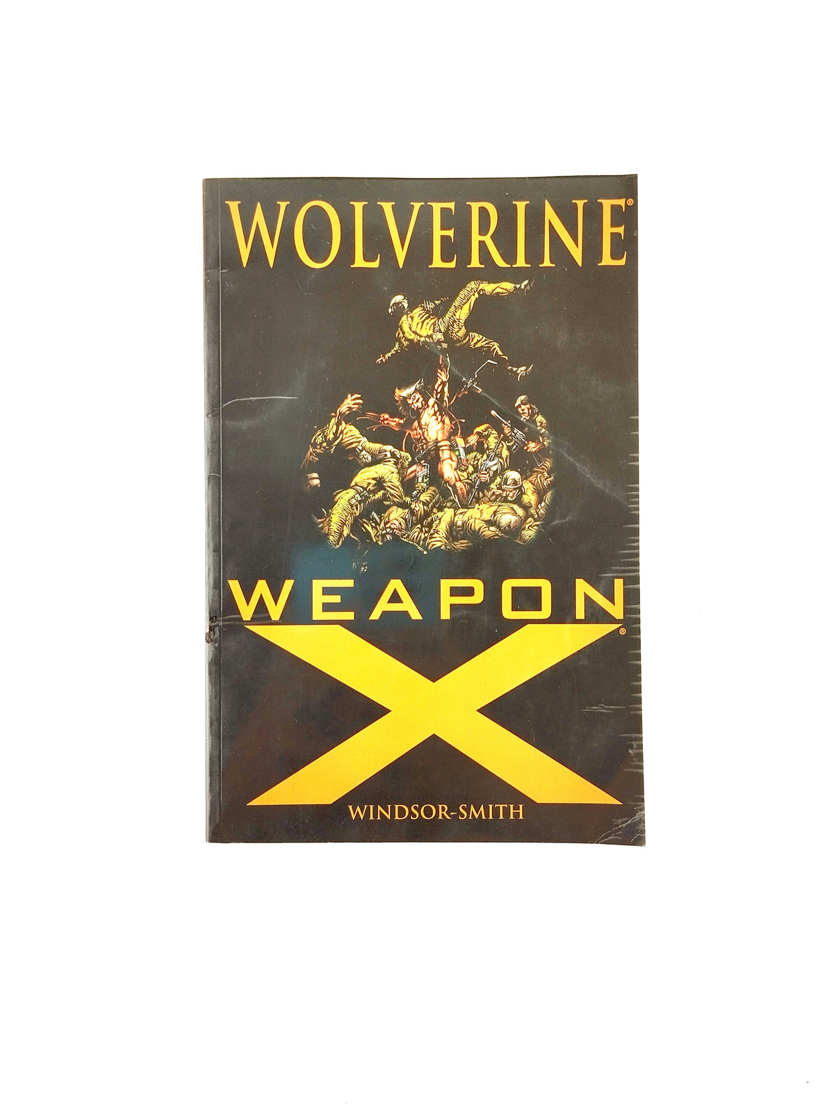 Wolverine weapon x by Windsor Smith