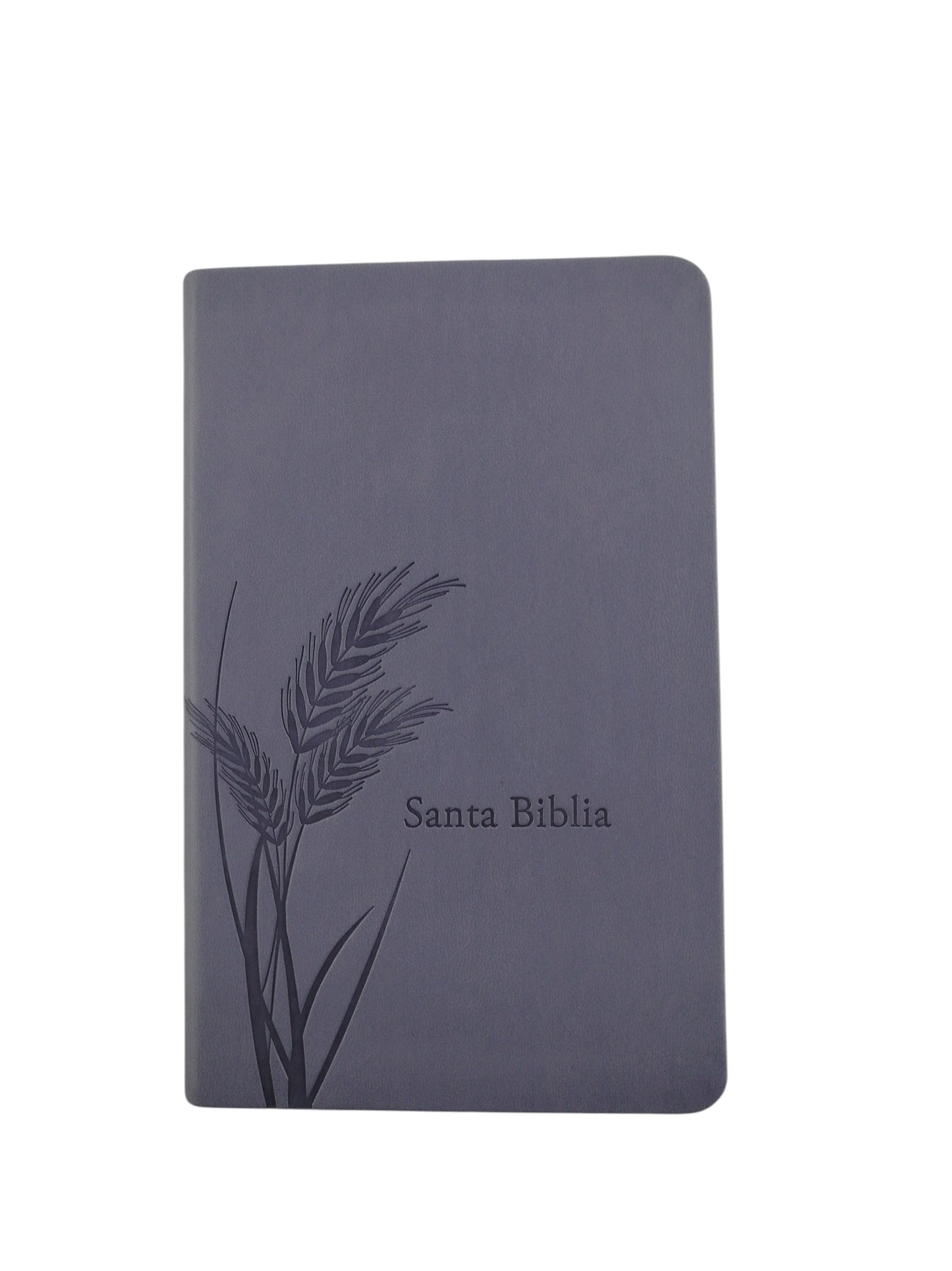 Biblia promesas RVR canto plateado sin cierre by Tyndale