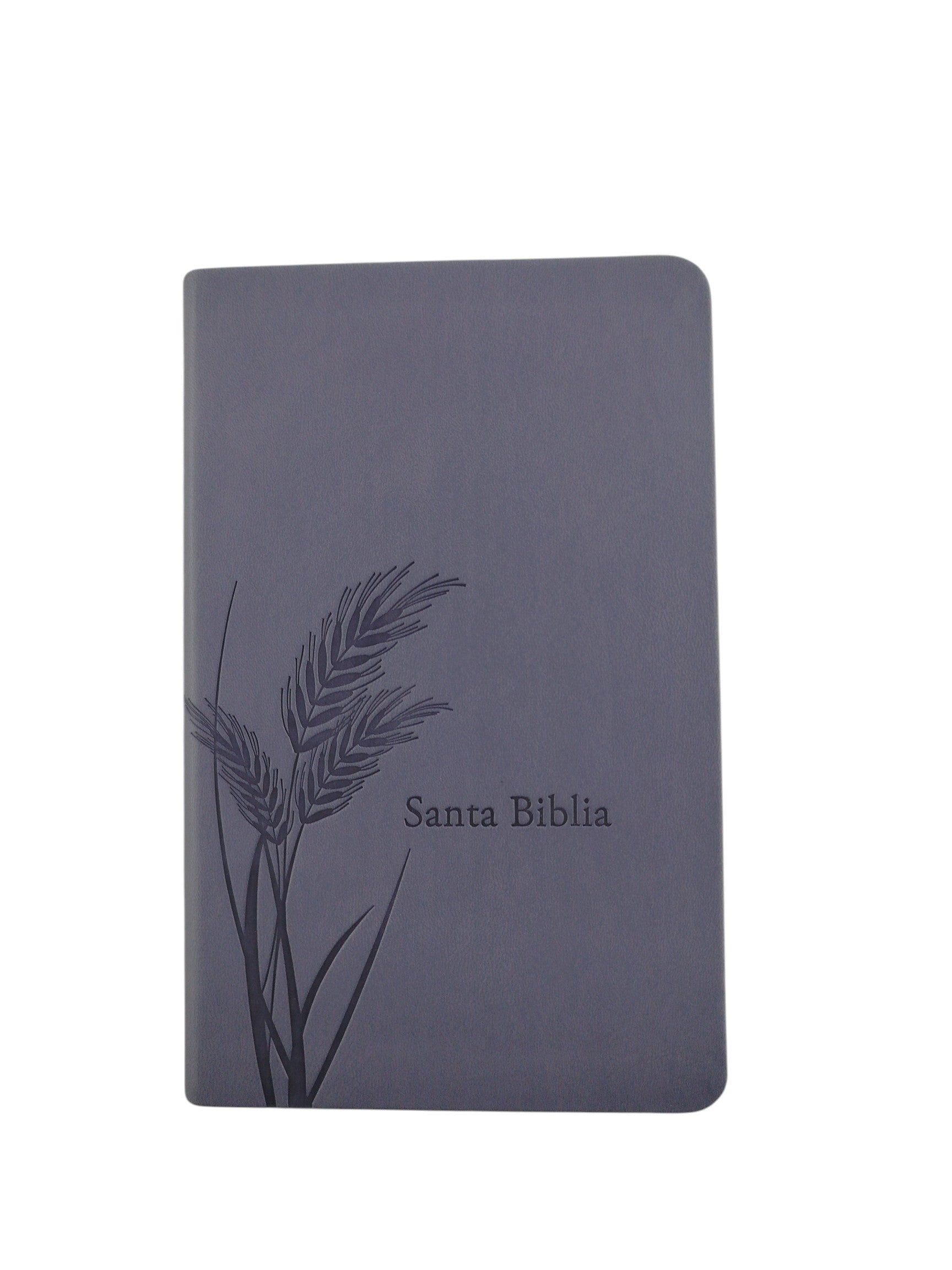Biblia promesas RVR canto plateado sin cierre by Tyndale