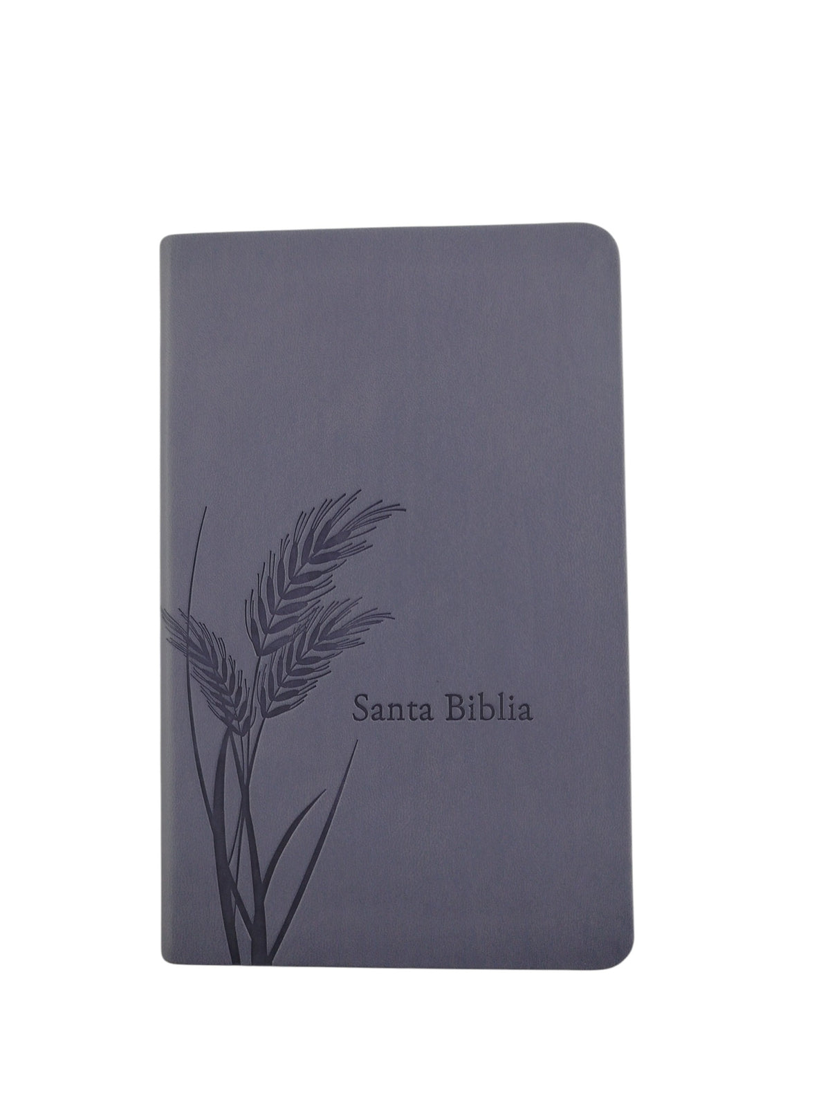 Biblia promesas RVR canto plateado sin cierre by Tyndale
