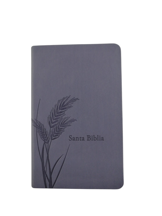 Biblia promesas RVR canto plateado sin cierre by Tyndale