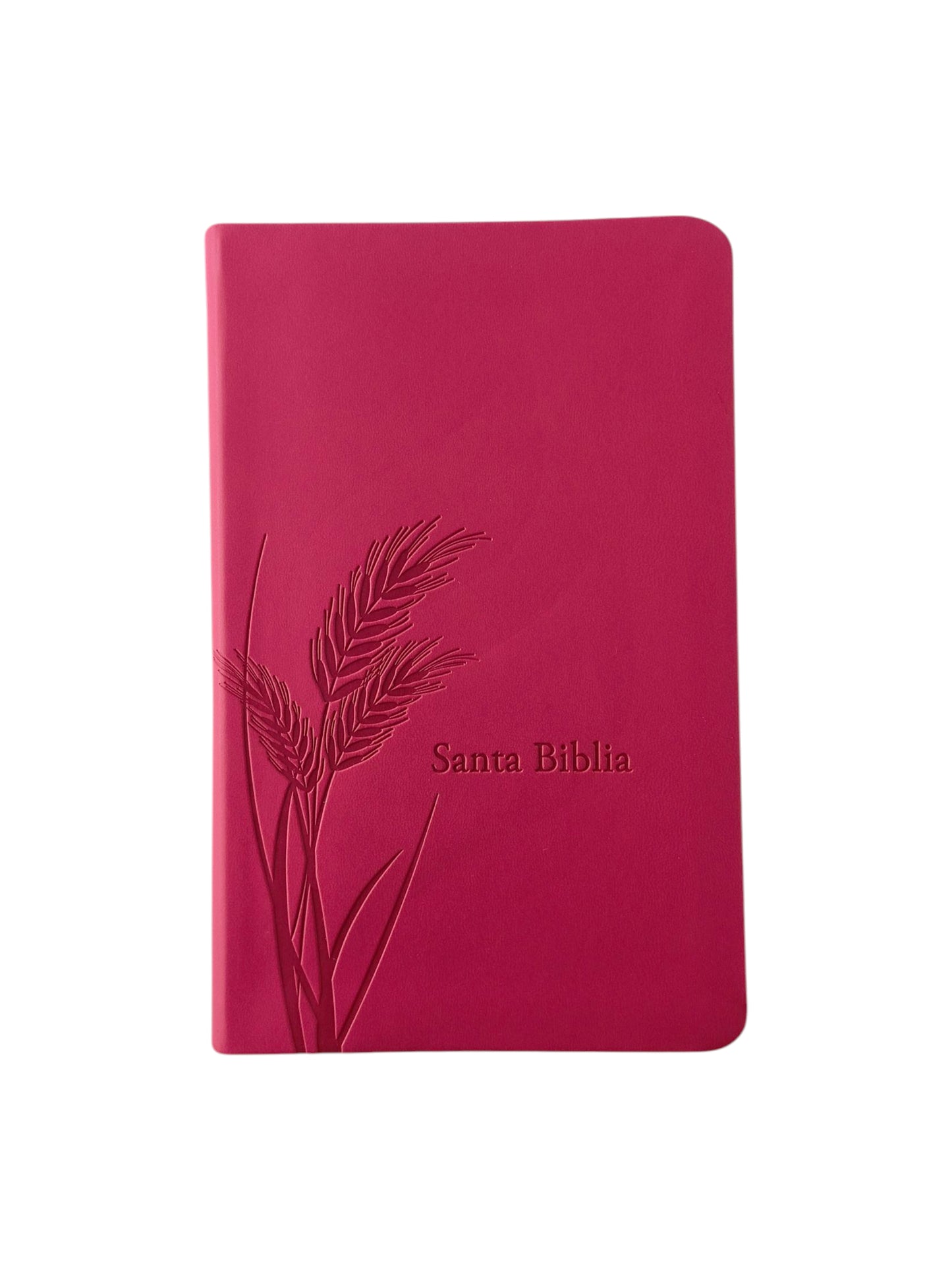 Biblia promesas fucsia canto plateado sin cierre