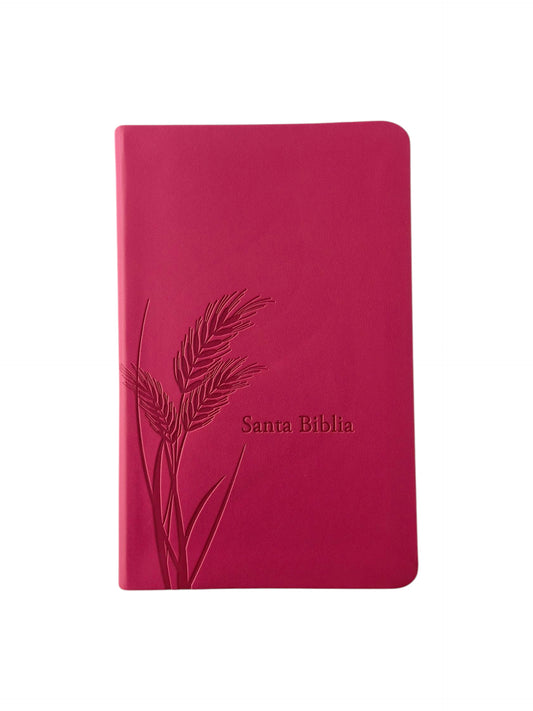 Biblia promesas fucsia canto plateado sin cierre