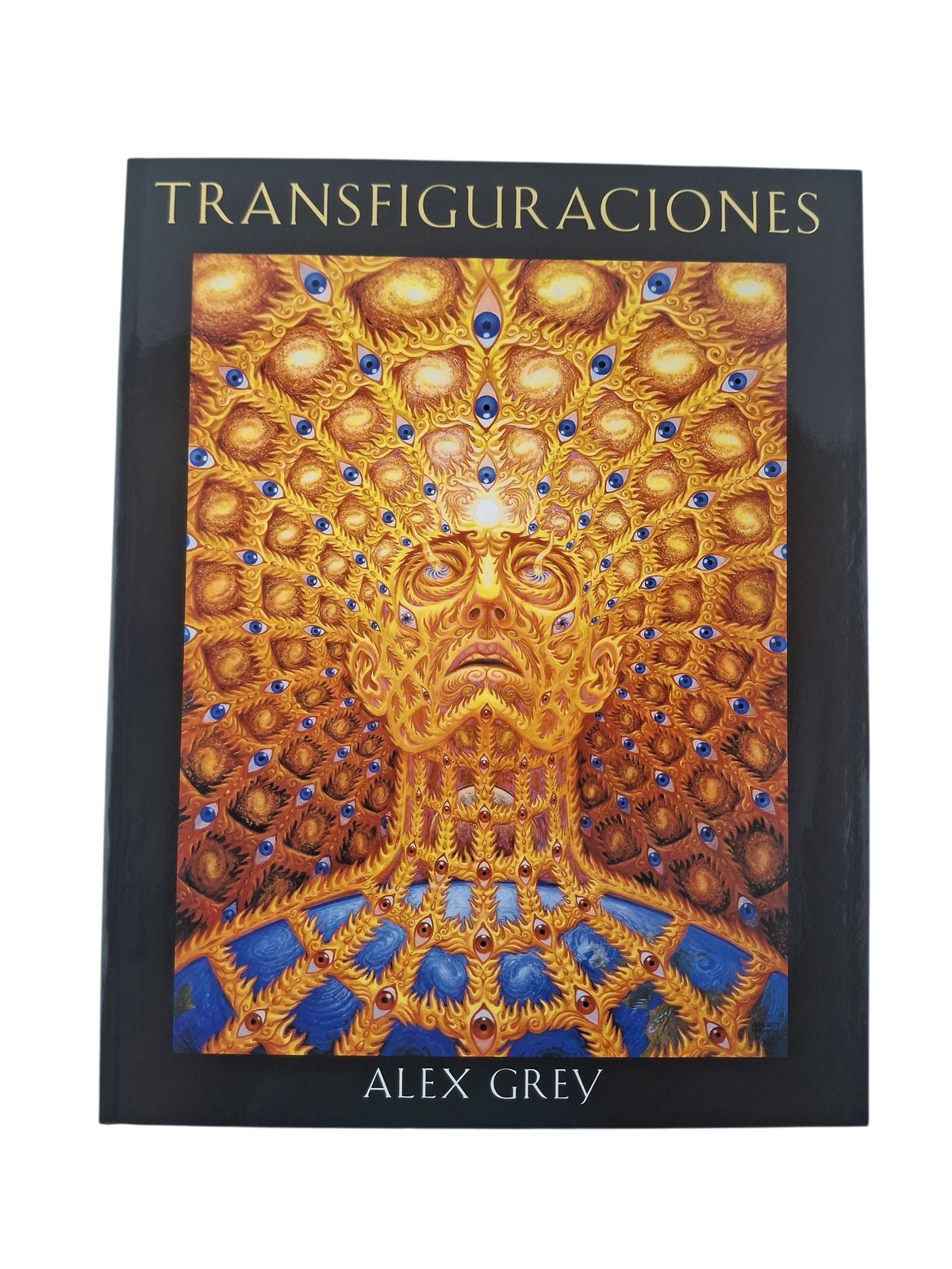 Transfiguraciones by Alex Grey