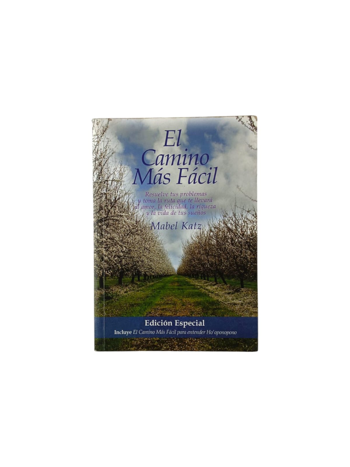 El camino más fácil by Mabel Katz