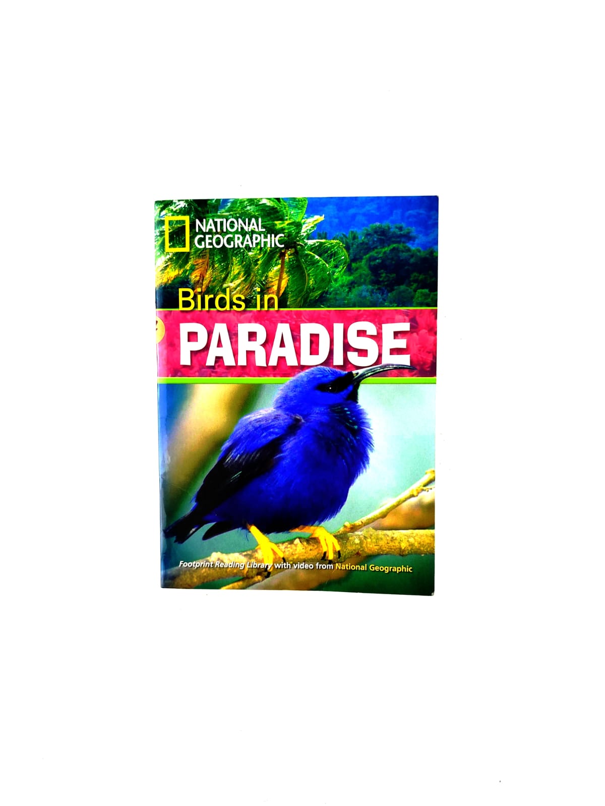 Birds in paradise by Rob Waring