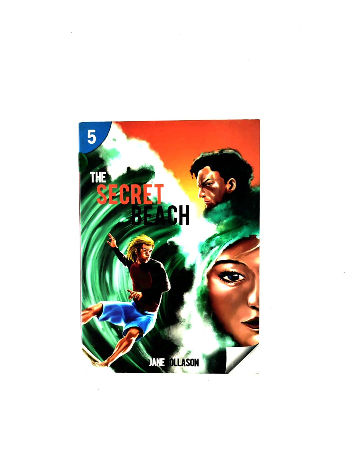 The secret beach by Jane Rollason