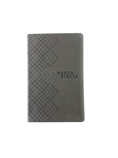 Biblia NTV agape gris by Nueva Traducción Viviente