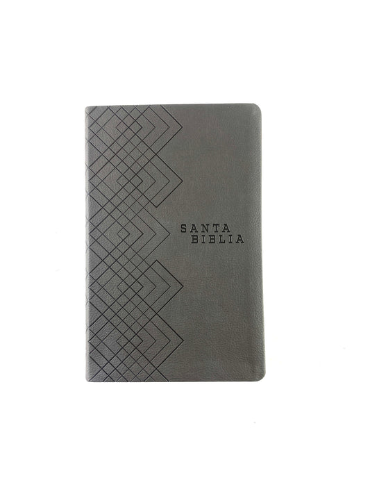 Biblia NTV agape gris by Nueva Traducción Viviente