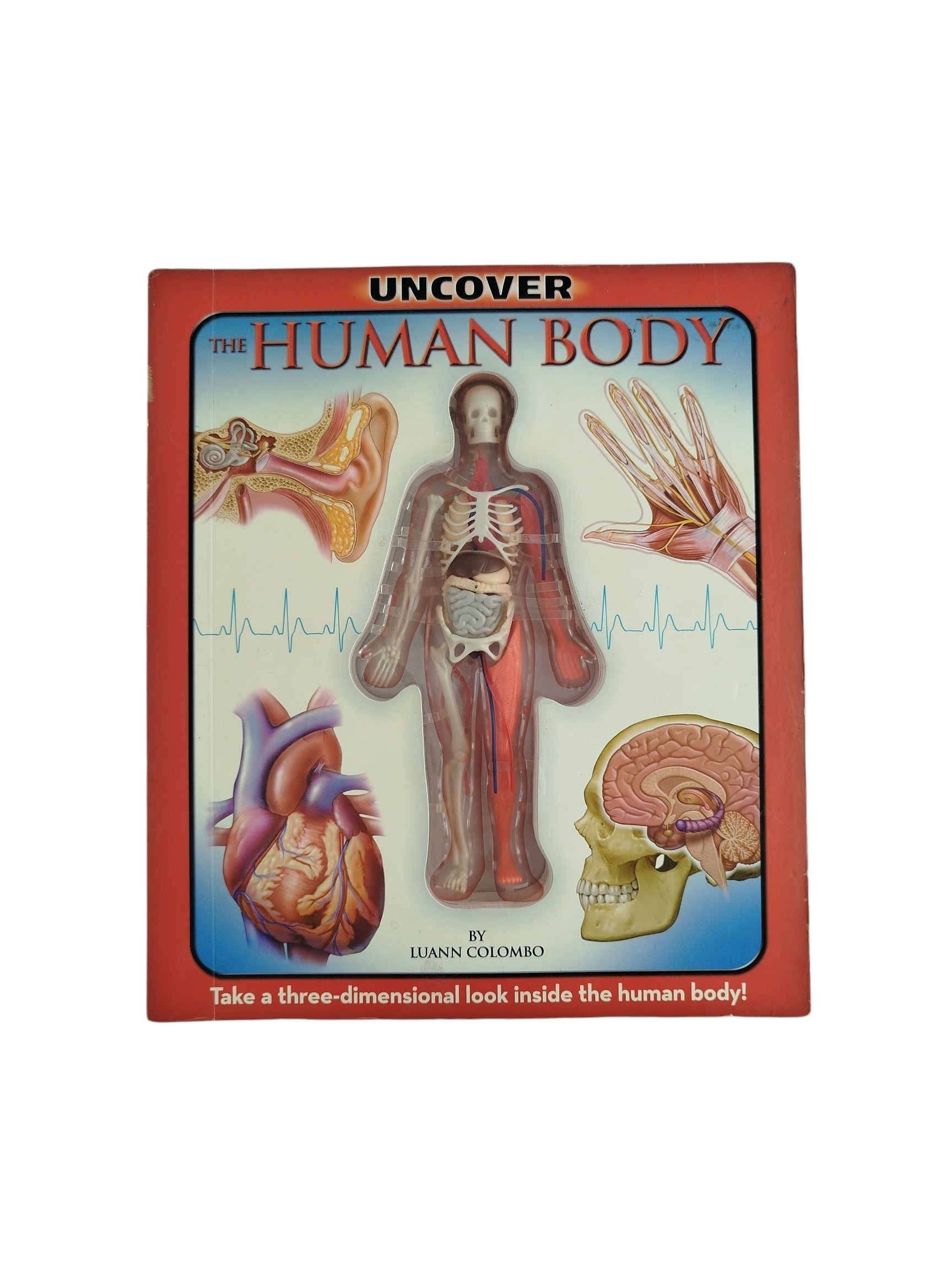 The human body by silverdolphin