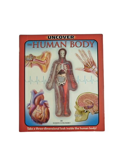 The human body by silverdolphin