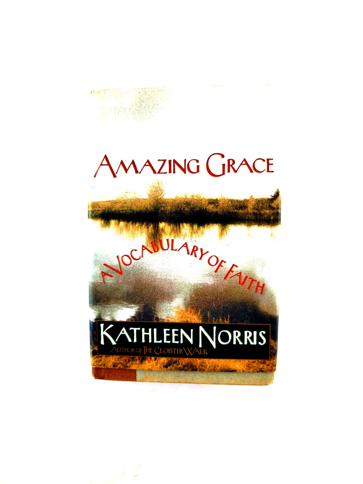 Amazing grace: A vocabulary of faith