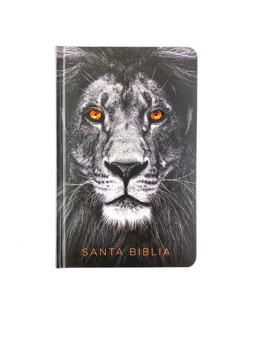 Biblia rvr 1960 letra grande tamaño manual tapa dura león de judá con imágenes de la tierra santa by Reina Valera 1960