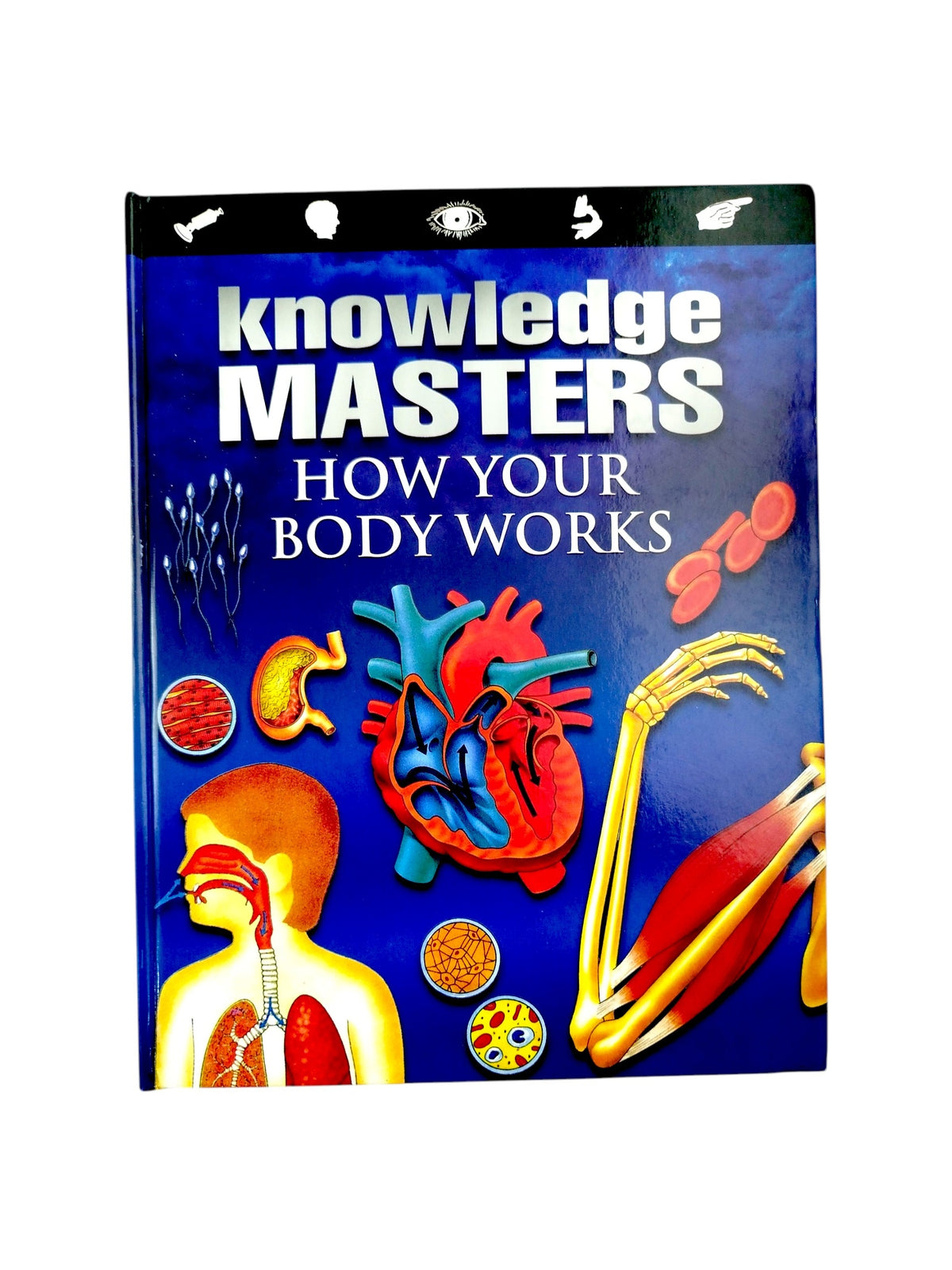 How your body Works by Knowledge Masters