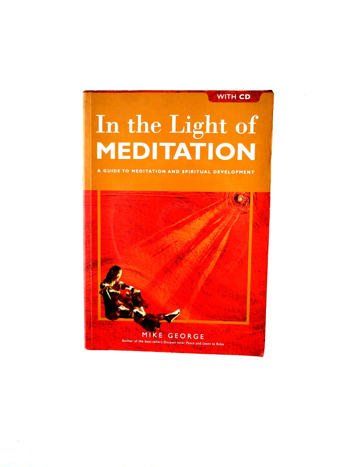 In the light of meditation by Mike George
