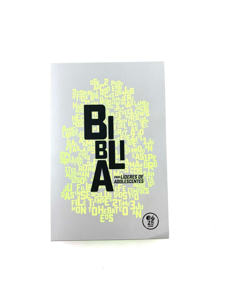 Biblia para lideres de adolescentes NBV