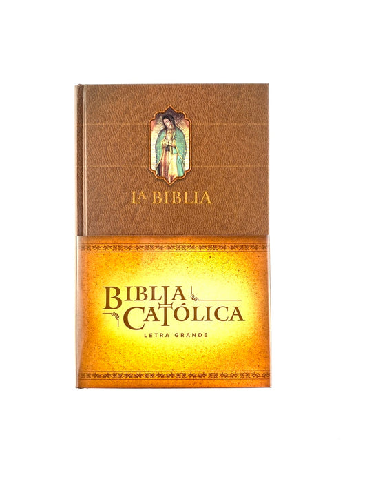 Biblia católica letra grande pasta dura sin cierre