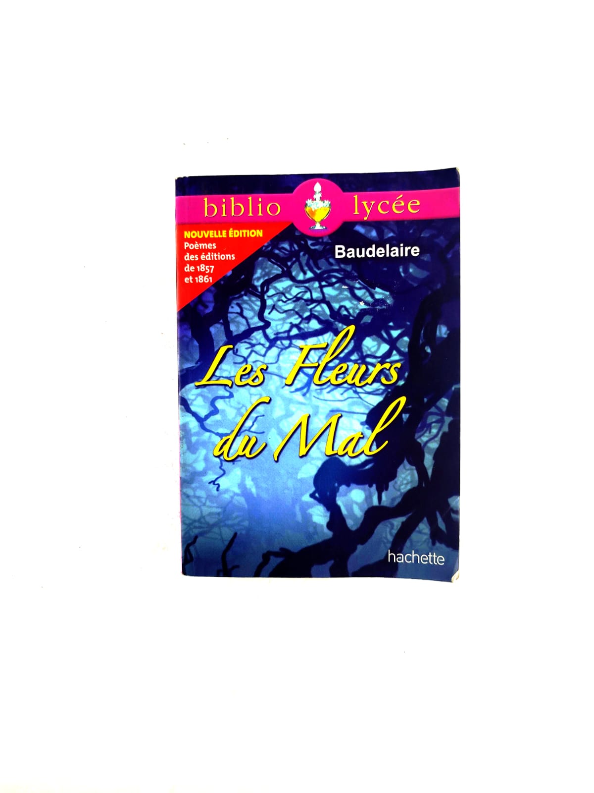 Les fleurs du mal by Charles Baudelaire