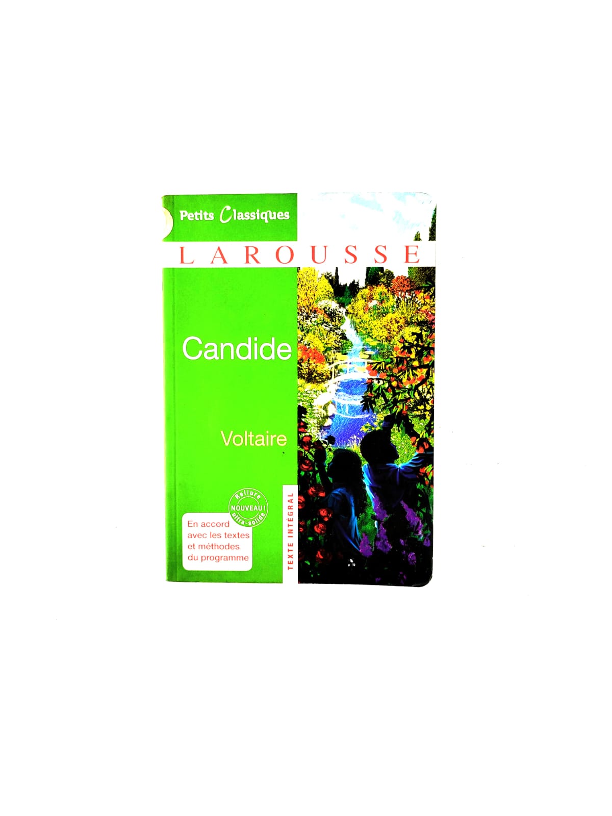 Candide by Voltaire